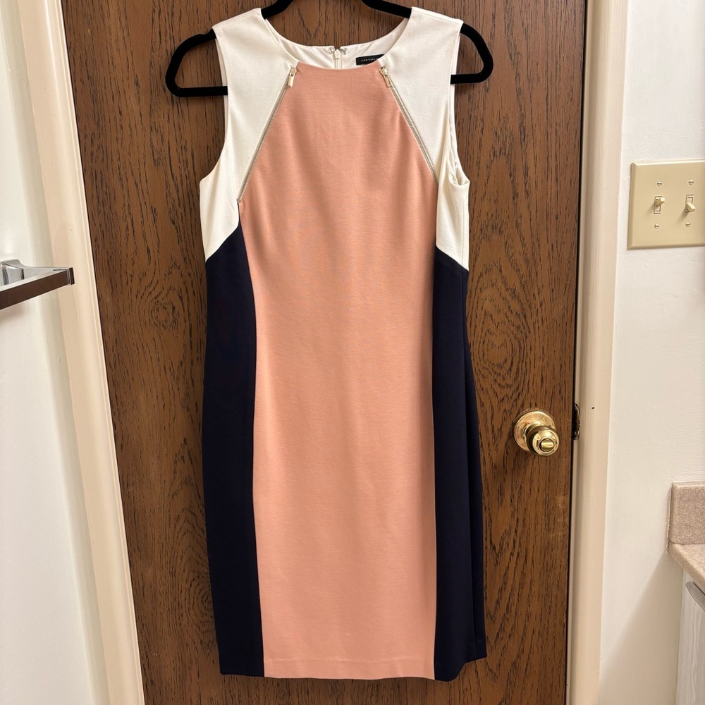 Ann Taylor Sleeveless Midi Dress in Cream, Pink, and Black
